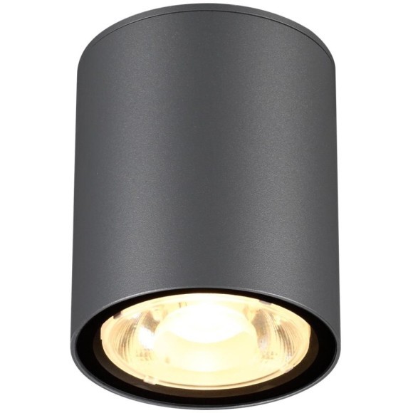 Уличный потолочный светильник Novotech 358011 TUMBLER IP65 светодиодный LED 6W