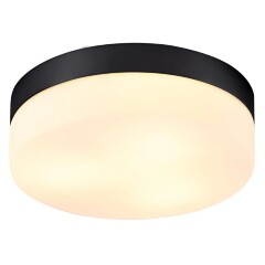 Настенно-потолочный светильник Arte Lamp A6047PL-3BK AQUA-TABLET IP44 под лампы 3xE27 60W
