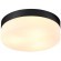 Настенно-потолочный светильник Arte Lamp A6047PL-3BK AQUA-TABLET IP44 под лампы 3xE27 60W