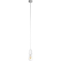 10091 Подвесной светильник LOFT IT Sherwood