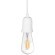 10091 Подвесной светильник LOFT IT Sherwood