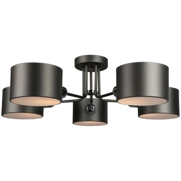 Потолочная люстра Liser OML-54507-05