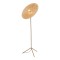 LSP-5010 Lussole SUNFLOWER Торшер с бронзовым металлическим основанием и прозрачным стеклянным плафоном, E27, 1 лампа