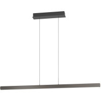 390498 Светодиодный подвес с регулировкой цветовой температуры CIGGIANO, 1X30W(LED) ,2200-6500K, 5200lm, алюминий, сталь, черный, белый