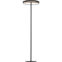 Торшер Lodi Lightstar 723727