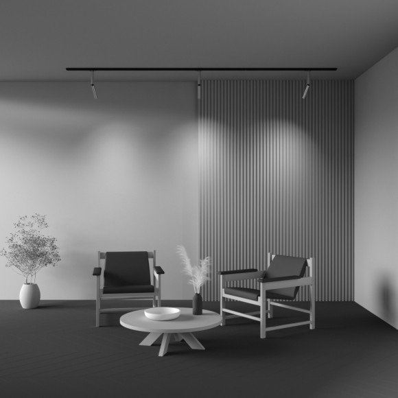 Однофазный двужильный светодиодный трековый светильник Maytoni Unity TR142-1-6W4K-BS Focus Dual 4000К 480Лм CRI90+ 36° 6Вт