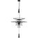 10141/600 Black Подвесной светильник LOFT IT Star