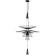 10141/600 Black Подвесной светильник LOFT IT Star