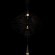 10141/600 Black Подвесной светильник LOFT IT Star