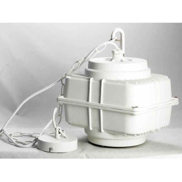 Подвесной светильник с 1 плафоном Lussole LSP-9827 MONSEY IP21 под лампу 1xE27 60W