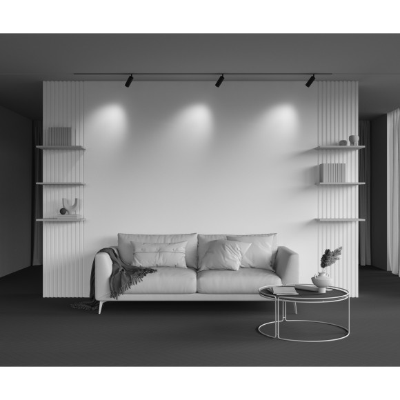 TR097-2-12W3K-M-BB Трековый магнитный светодиодный светильник Maytoni Exility CRI90+ 3000К 870Лм 36° 12Вт TR097-2-12W3K-M-BB Трековый магнитный светодиодный светильник Maytoni Exility CRI90+ 3000К 870Лм 36° 12Вт