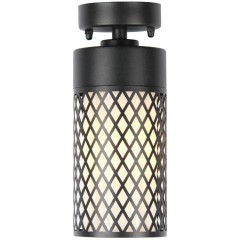 Потолочный светильник уличный Barrel 3019-1P Потолочный светильник уличный Barrel 3019-1P