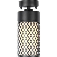 Потолочный светильник уличный Barrel 3019-1P