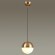 Подвесной светильник Odeon Light 4960/1 PINGA под лампу 1xE27 1*40W
