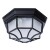 Уличный потолочный светильник Arte Lamp A3100PL-1BK PEGASUS IP44 под лампу 1xE27 60W