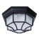 Уличный потолочный светильник Arte Lamp A3100PL-1BK PEGASUS IP44 под лампу 1xE27 60W
