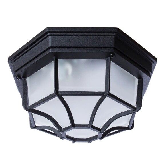Уличный потолочный светильник Arte Lamp A3100PL-1BK PEGASUS IP44 под лампу 1xE27 60W