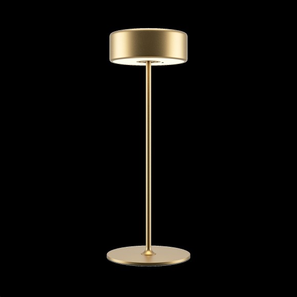 Аккумуляторный светильник Maytoni MOD229TL-L3G3K2