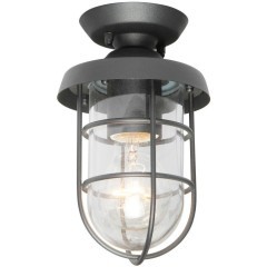 Потолочный светильник уличный Pointer 3021-1P Потолочный светильник уличный Pointer 3021-1P