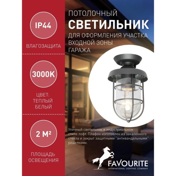 Потолочный светильник уличный Pointer 3021-1P