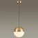 Подвесной светильник Odeon Light 4960/1A PINGA под лампу 1xE27 1*40W