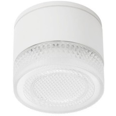 Уличный потолочный светильник Arte Lamp PIAUTOS A1926PF-1WH Уличный потолочный светильник Arte Lamp PIAUTOS A1926PF-1WH