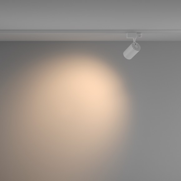 Трековый светильник трехфазный 220V светодиодный Vuoro TR029-3-10W3K-W-W