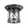 Уличный потолочный светильник Odeon Light 4045/1C SATION IP44 под лампу 1xE27 60W