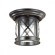 Уличный потолочный светильник Odeon Light 4045/1C SATION IP44 под лампу 1xE27 60W