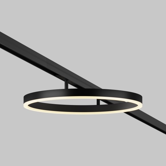 Трековый светильник Maytoni Rim TR227-2-24W3K-B