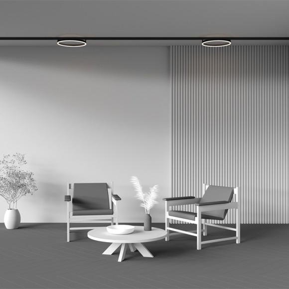 Трековый светильник Maytoni Rim TR227-2-24W3K-B