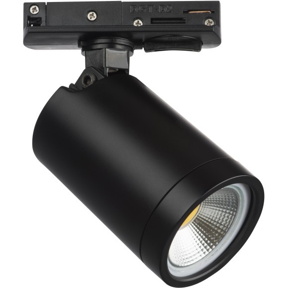 Однофазный двужильный трековый светильник Lightstar 212937 Rullo под сменную лампу GU10