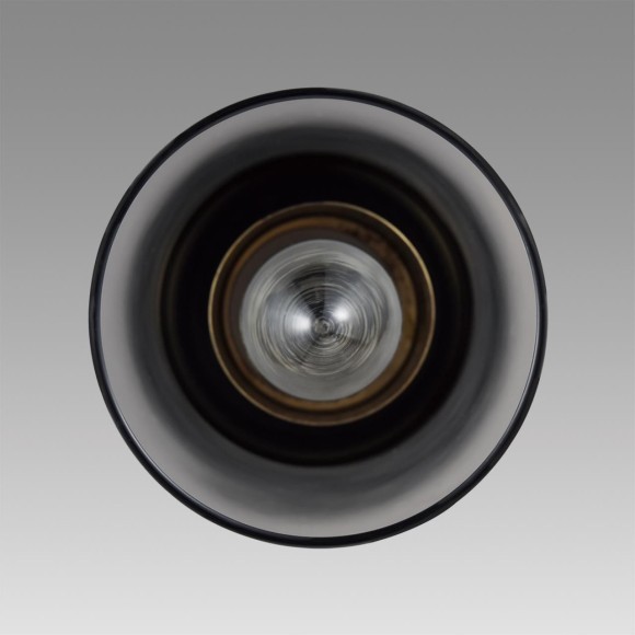 Подвес Е14 Lumion ISHA 8101/1A Подвес Е14 Lumion ISHA 8101/1A