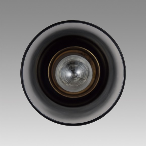 Подвес Е14 Lumion ISHA 8101/1A Подвес Е14 Lumion ISHA 8101/1A