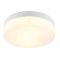 Настенно-потолочный светильник Arte Lamp A6047PL-3WH AQUA-TABLET IP44 под лампы 3xE27 60W