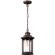 Уличный подвесной светильник Odeon Light 4961/1 MAVRET IP44 под лампу 1xE27 1*60W