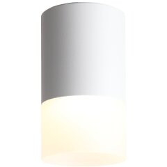 ST100.502.05 Светильник потолочный Белый LED 1*5W 3000K 390Lm Ra80 120° D64xH110 170-240V Накладные светильники