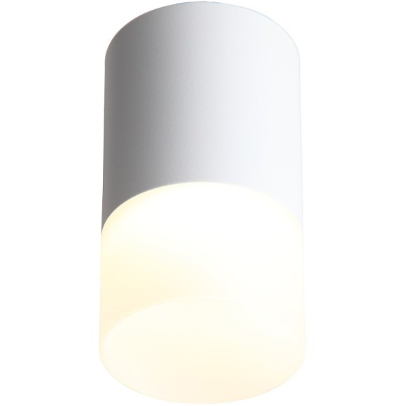 ST100.502.05 Светильник потолочный Белый LED 1*5W 3000K 390Lm Ra80 120° D64xH110 170-240V Накладные светильники