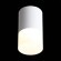 ST100.502.05 Светильник потолочный Белый LED 1*5W 3000K 390Lm Ra80 120° D64xH110 170-240V Накладные светильники