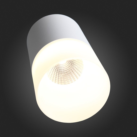 ST100.502.05 Светильник потолочный Белый LED 1*5W 3000K 390Lm Ra80 120° D64xH110 170-240V Накладные светильники