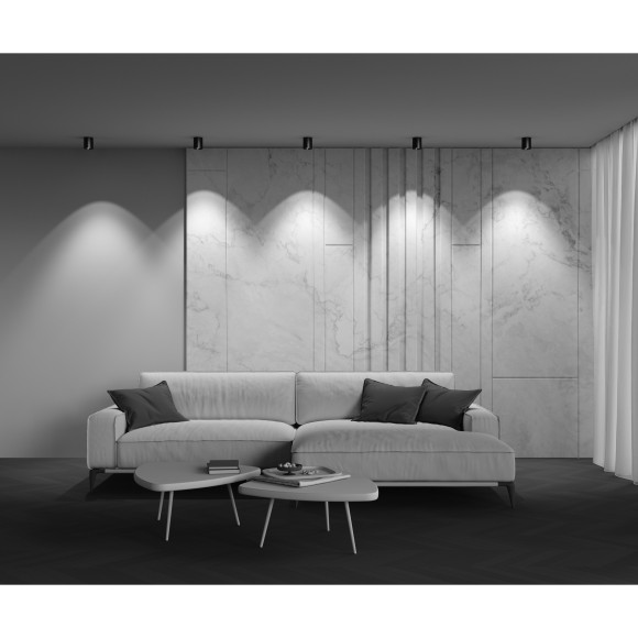 Потолочный светильник Technical C064CL-12W3K-RD-B