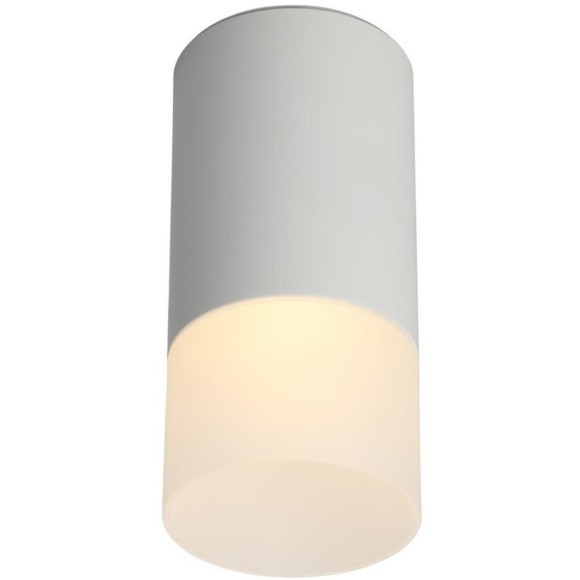 Точечный светильник 100 OML-100609-01