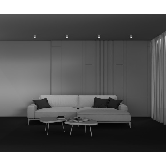 Потолочный светильник Technical C121CL-GU10-W