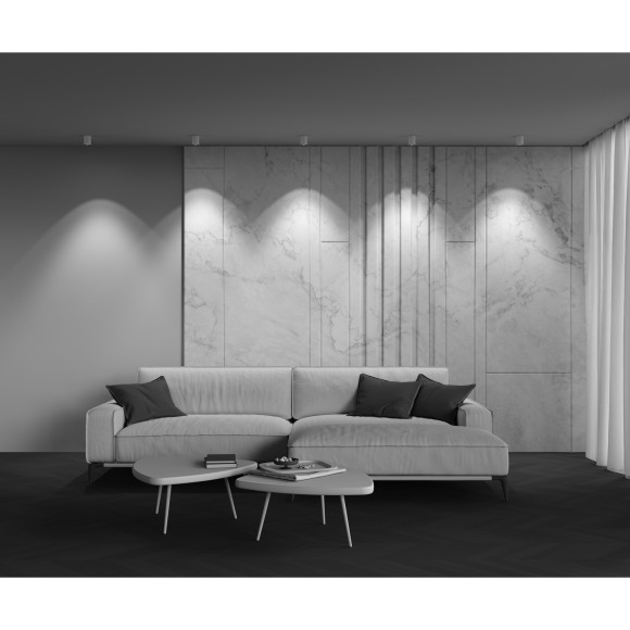 Потолочный светильник Technical C064CL-8W3K-RD-WB