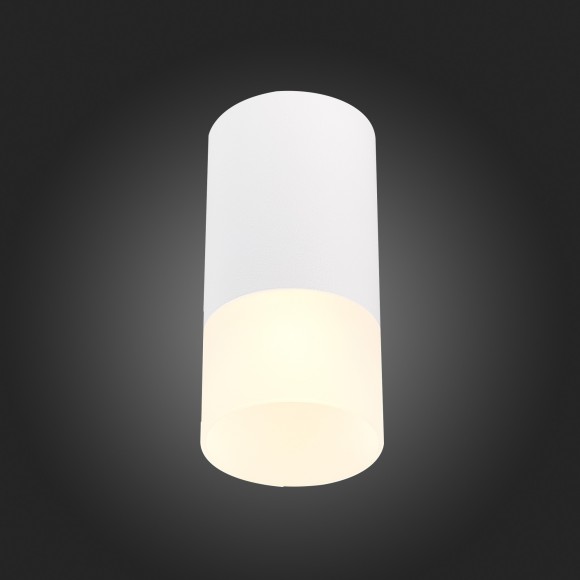 ST100.512.01 Светильник потолочный Белый GU10 1*50W IP20 D64xH131 220V Без ламп Накладные светильники