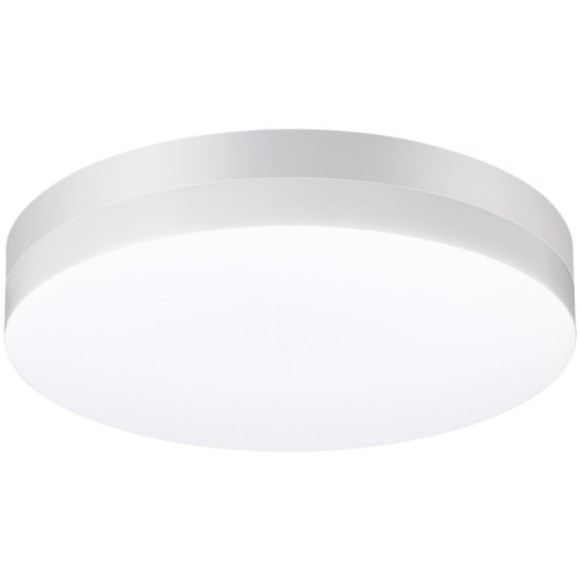 Уличный потолочный светильник Novotech 358885 OPAL IP54 светодиодный LED 30W