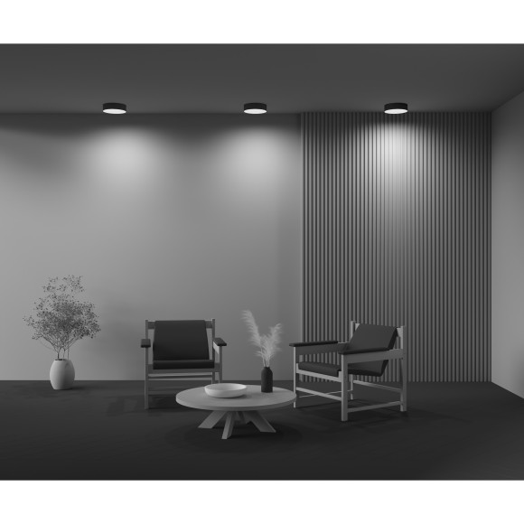 Потолочный светильник Technical C032CL-24W3K-RD-B Потолочный светильник Technical C032CL-24W3K-RD-B