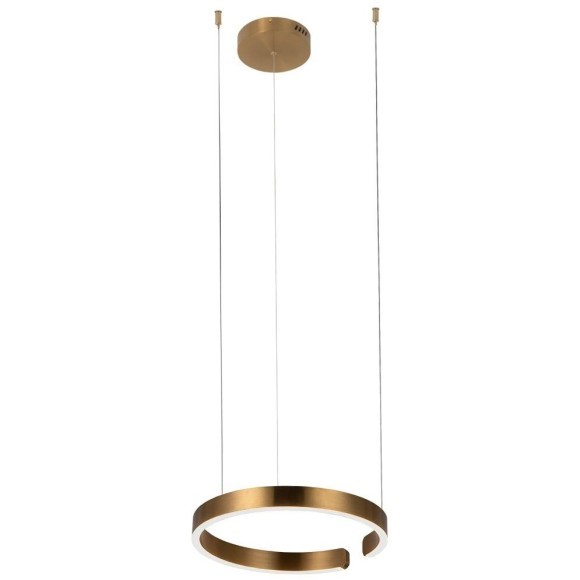 10013S Подвесной светильник LOFT IT Ring