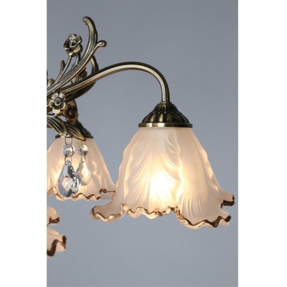 Потолочная люстра Petrara OML-54807-05 Потолочная люстра Petrara OML-54807-05