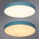 Потолочный светильник Arte Lamp ARENA A2661PL-1AZ